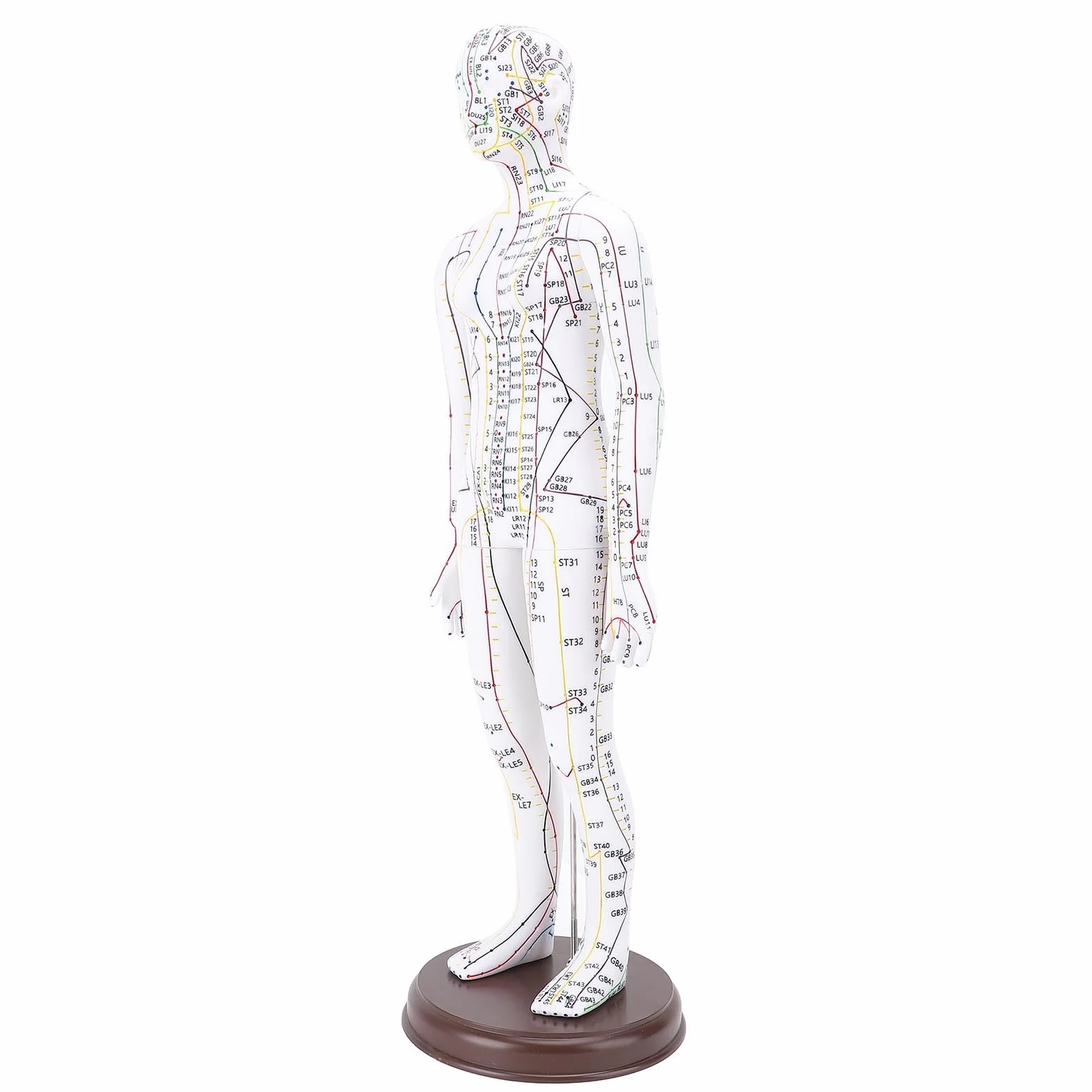 Muñeca de Acupuntura de 52 Cm, Modelo de Cuerpo Humano, Maniquí Masculino/Femenino con Base