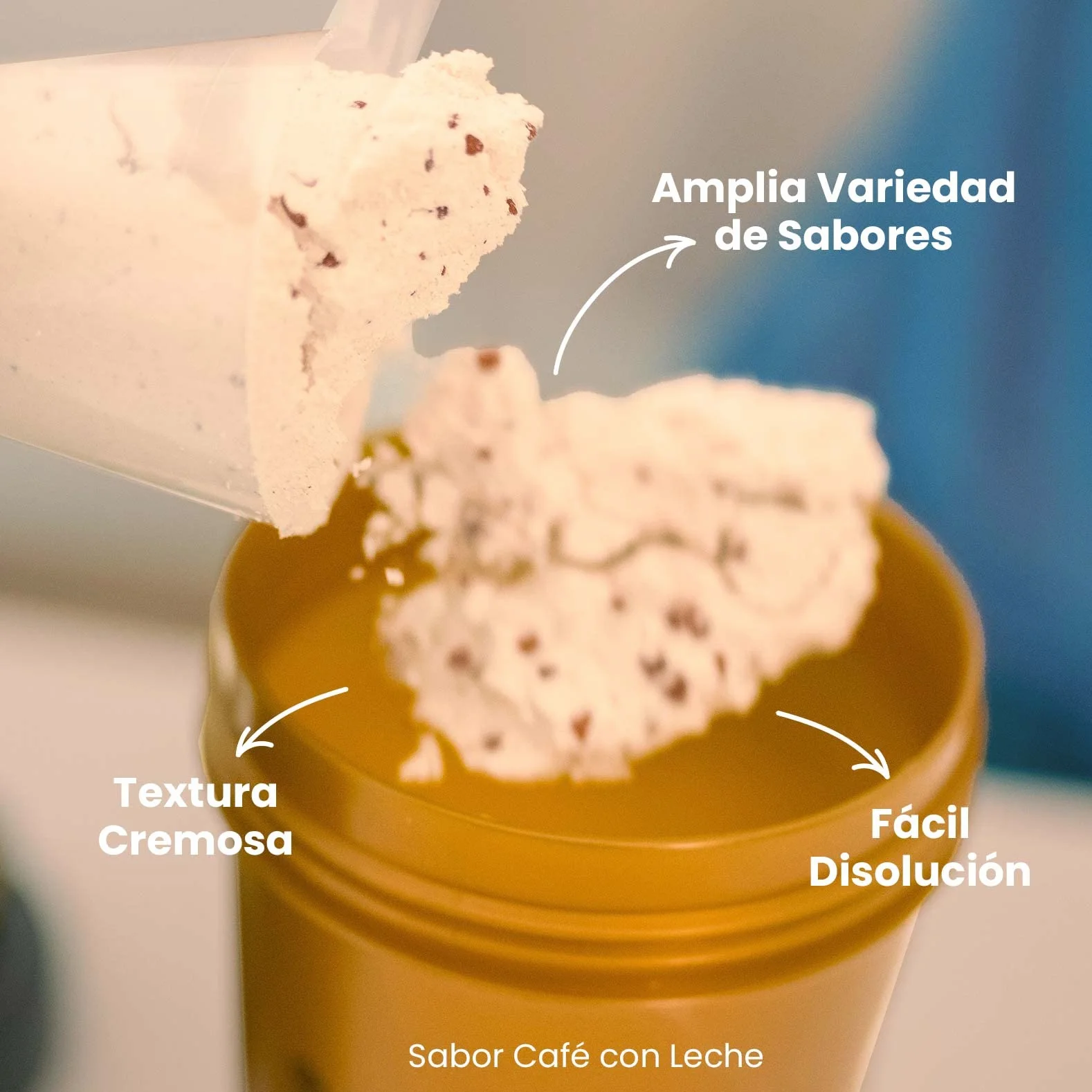 HSN Evowhey Protein Chocolate y Avellanas 500g Concentrado de Proteína de Suero WPC No-GMO Vegetariano Sin Gluten