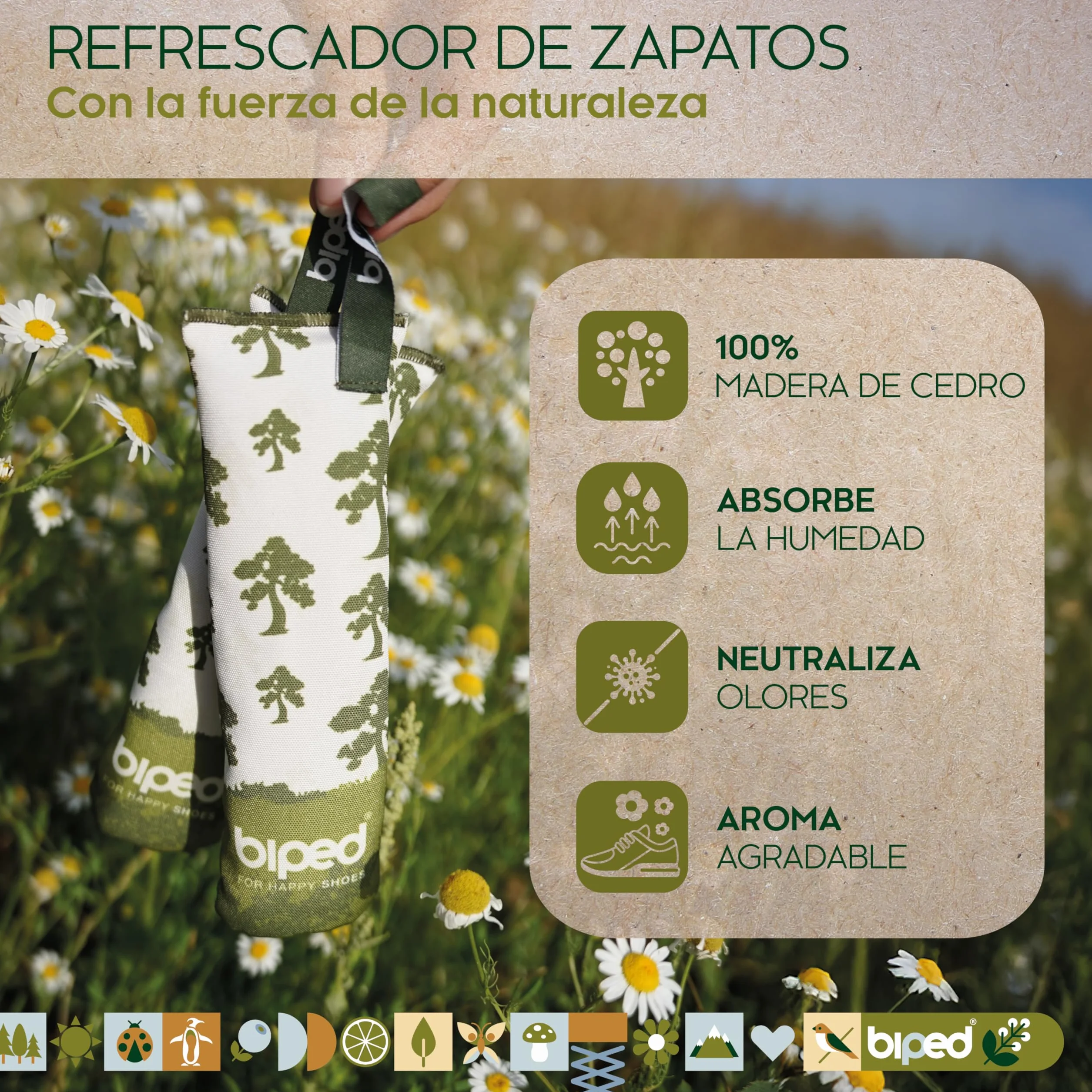 Secador de zapatos de madera de cedro natural – Elimina olores – Sin químicos – 1 par