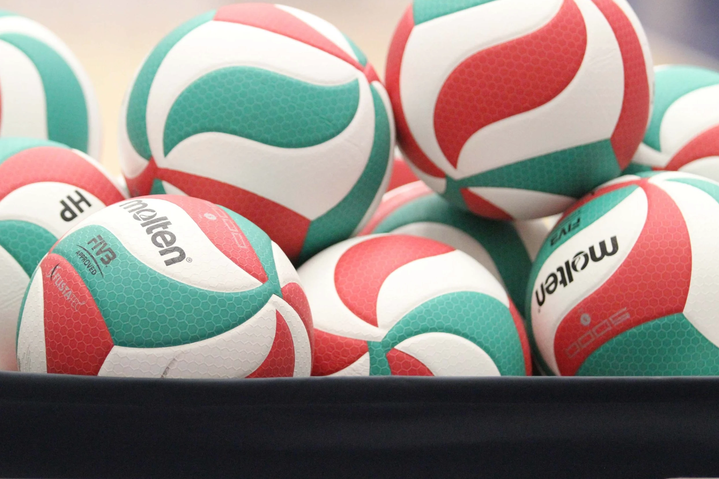 Molten Voleibol FLISTATEC