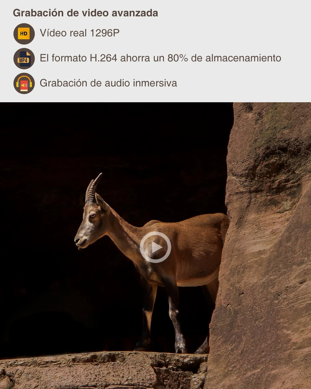 GardePro A5 Câmara de Caça 64MP 1296P H.264 Vidéo, Camara Fototrampeo con Alcance de Visión Nocturna de 30m y 0,1s Tiempo de Activación, LED IR de 940 NM No-Glow, IP66