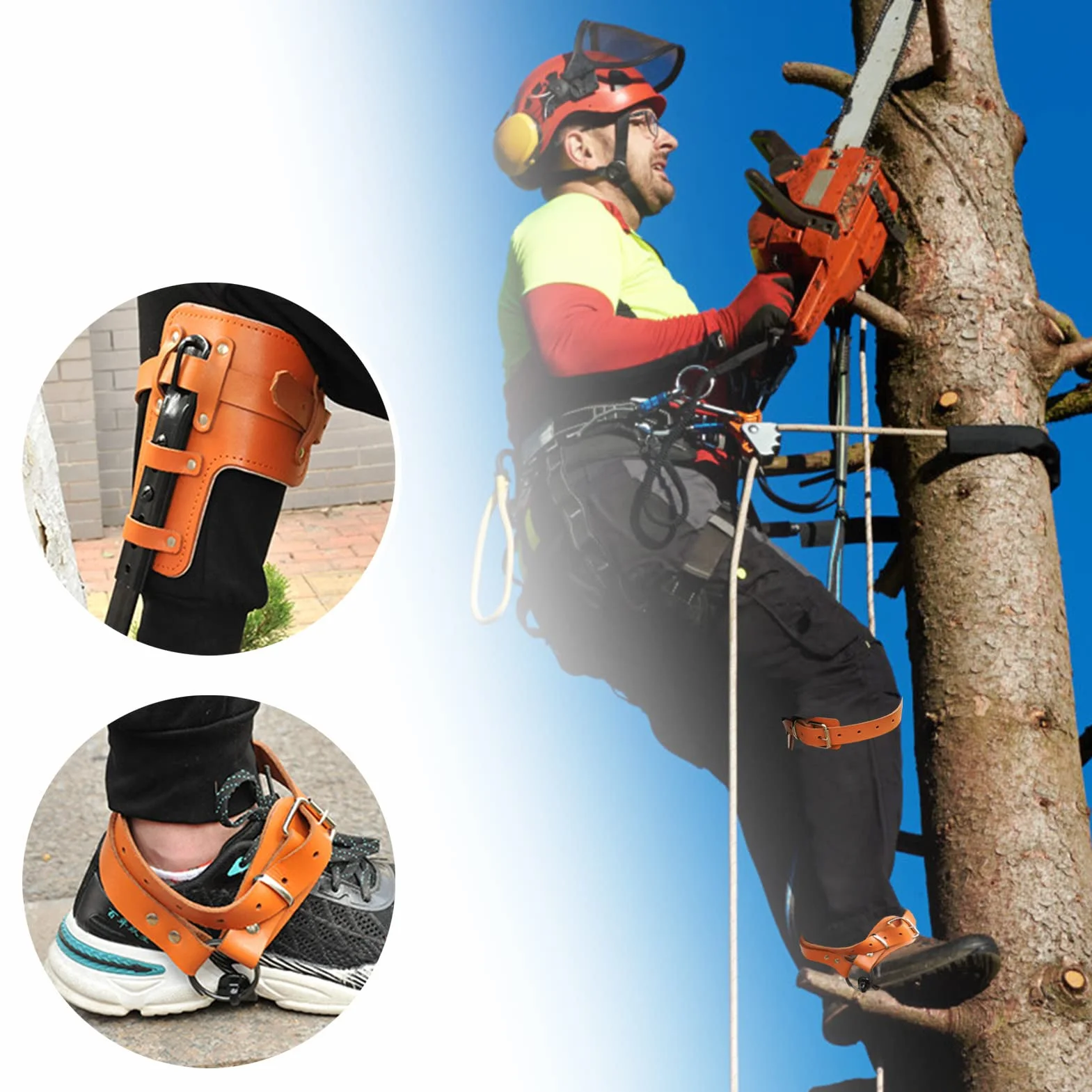 Estacas de escalada de árboles para trepadores – Espuelas de escalada de árboles de pie para tala, observación de caza, recolección de frutas – Herramienta de escalada de árboles integrada