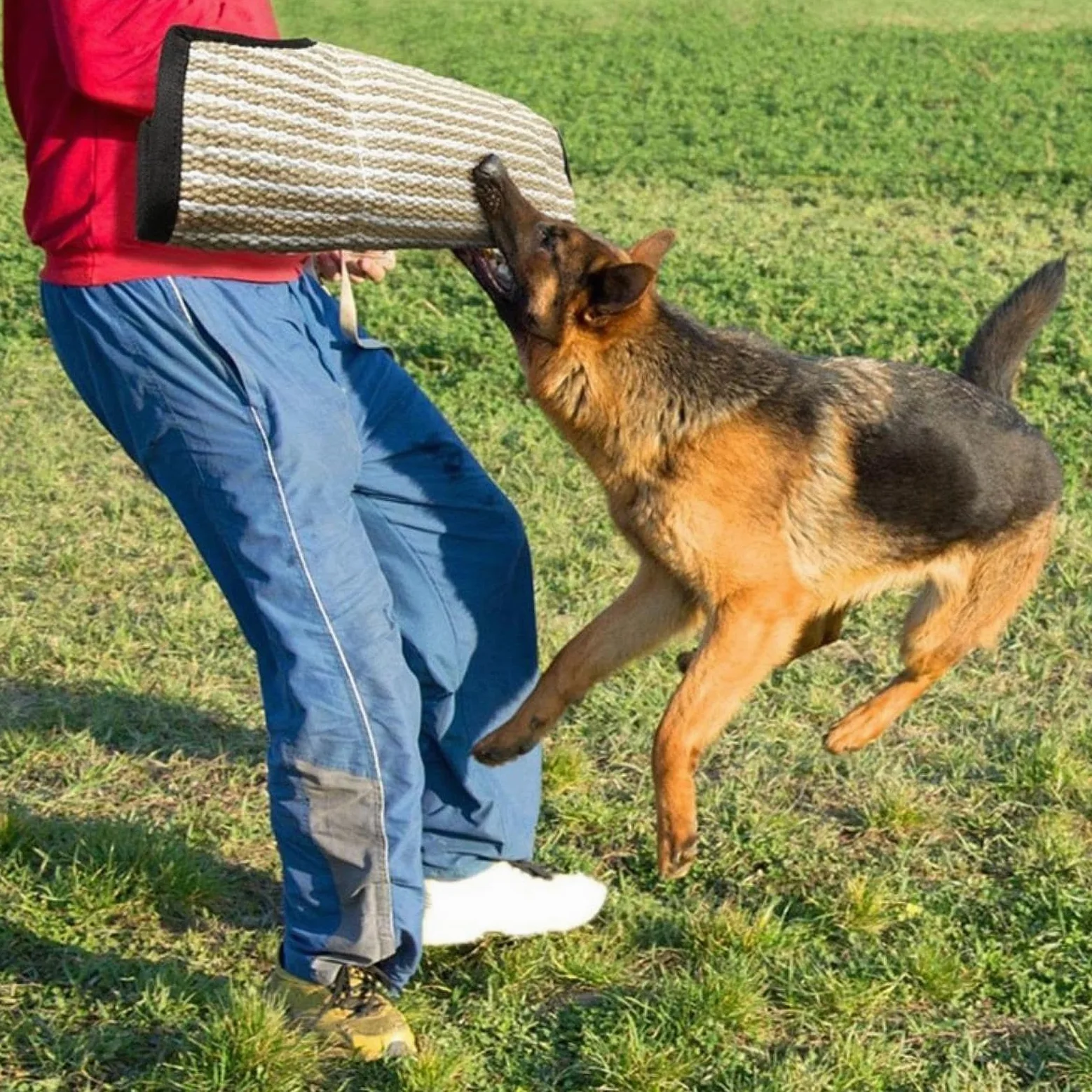 Kit de Adiestramiento para Perros Mordedores