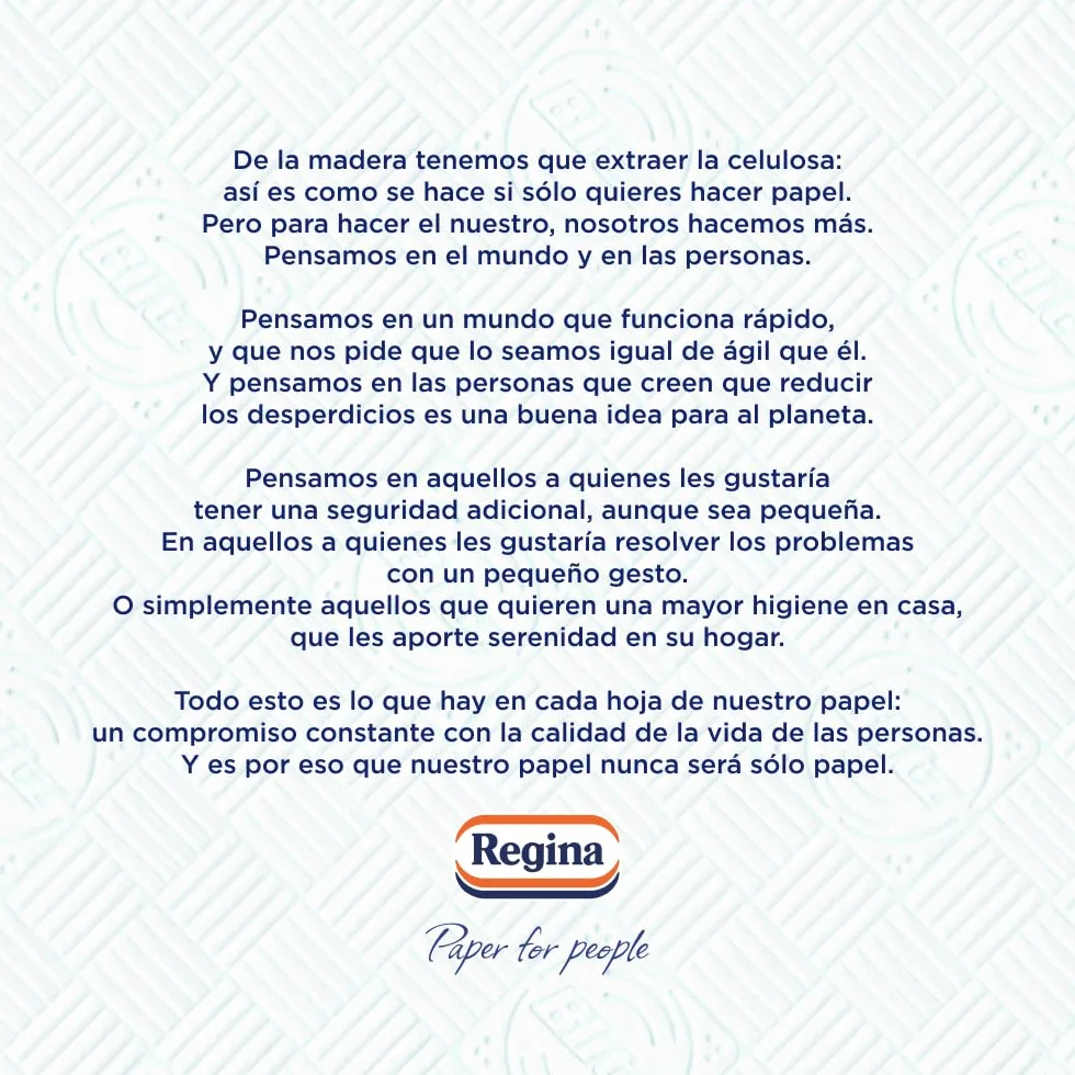 Regina Blitz Papel de Cocina 5 Rollos 100 Maxi-Hojas 3 Capas Sin Pelusas