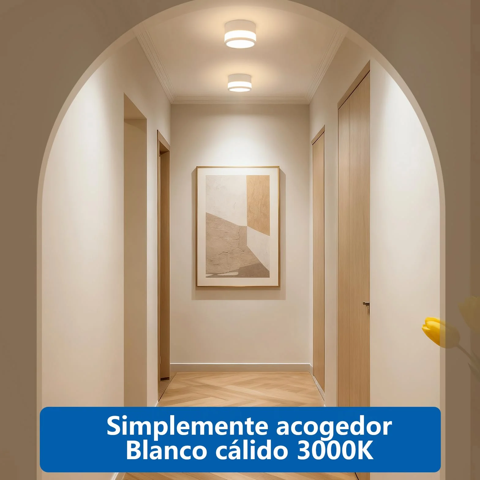 ZIZZLER Focos Blanco Superficie Aplique Techo LED Cilíndrico IP44 12W 10cm