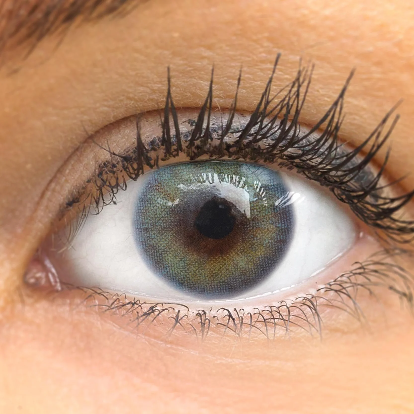 GLAMLENS Jasmine Light Blue Lentillas de Colores Azules 1 Par 90 Días Sin Graduación Hidrogel de Silicona