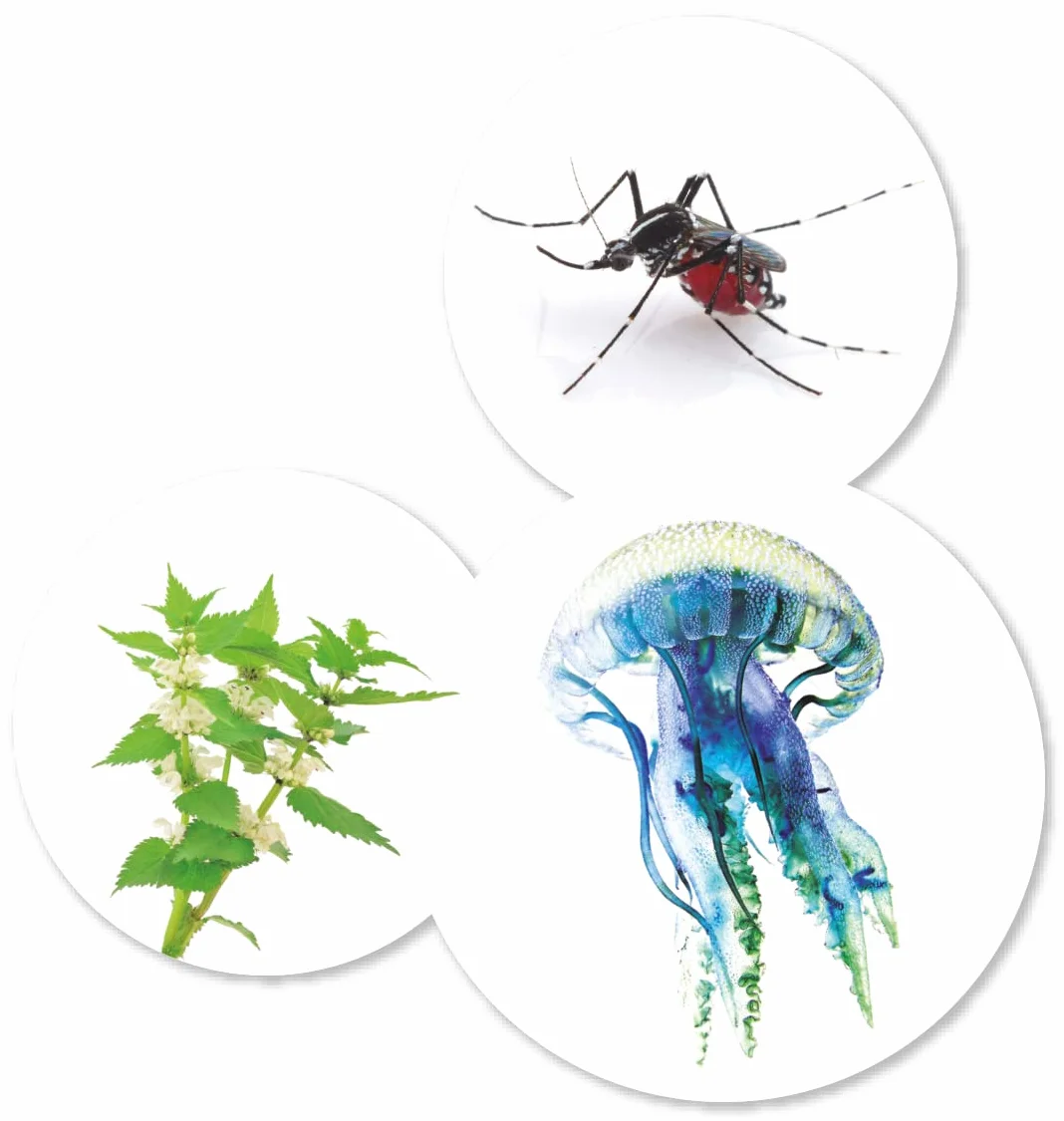 HALLEY Pack Repelente Insectos Loción 150 ml + Picbalsam 40 ml Mosquito Tigre Garrapatas