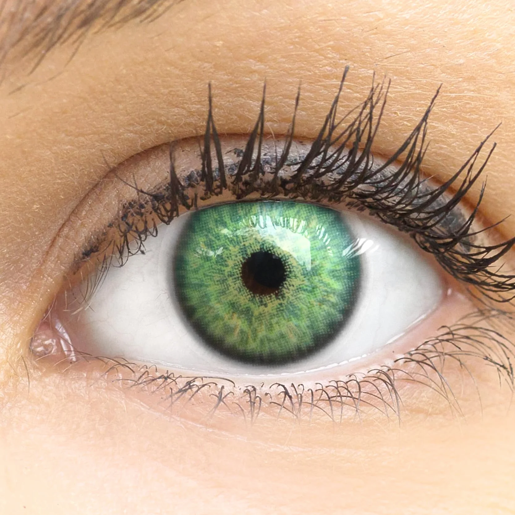 GLAMLENS lentillas de color vert Ibiza Green 1 par 90 Días Sin Graduación blandas hidrogel de silicona