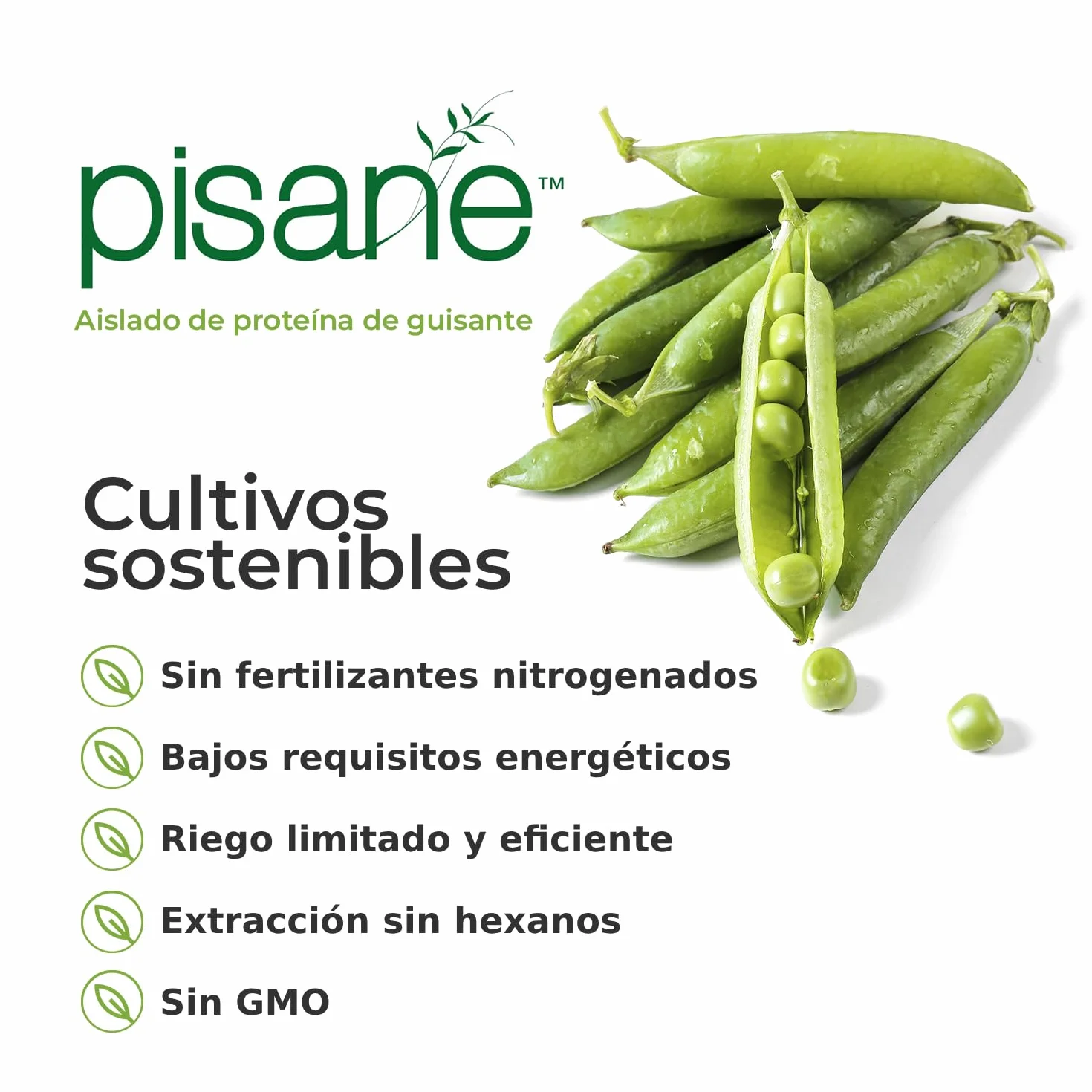 Weider Vegan Protein 750g Vainilla Proteína Vegana 23g Aislada Guisante Arroz Vitamina B12 Stevia Sin Gluten Sin Azúcar
