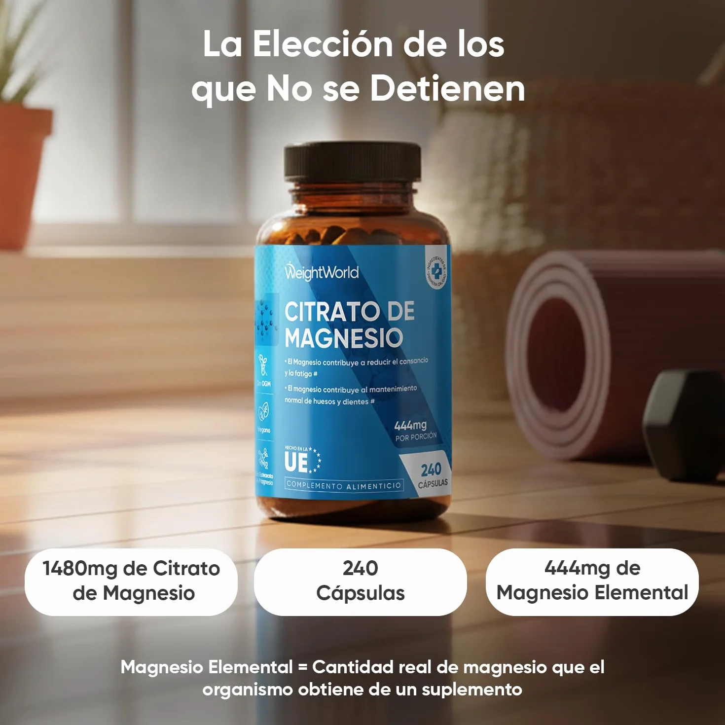 Citrato de Magnesio 240 Cápsulas Veganas 444mg Magnesio Puro 1480mg Citrato Sin Gluten