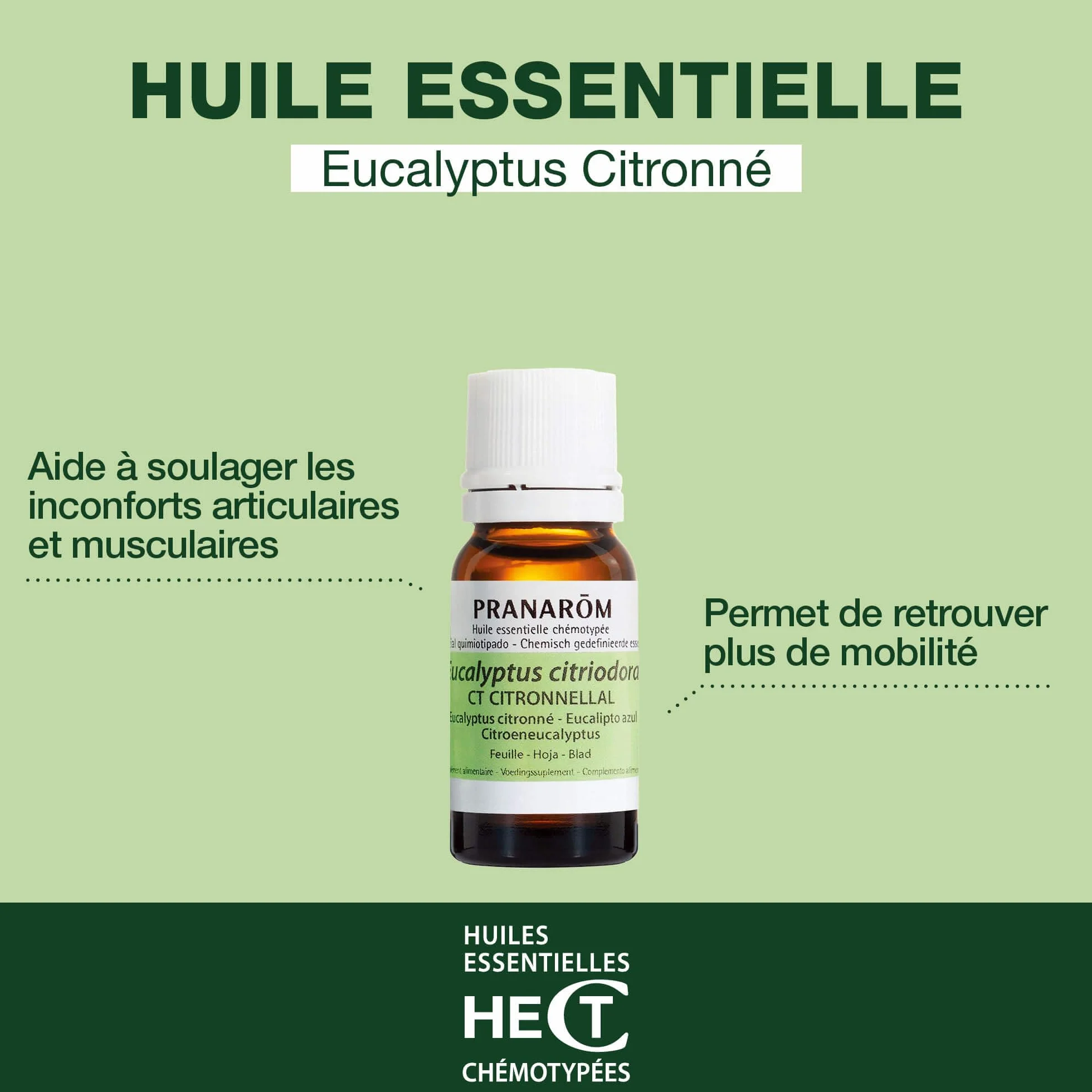 Aceite Esencial Quimitipado Eucalipto Azul BIO HECT 10 ml