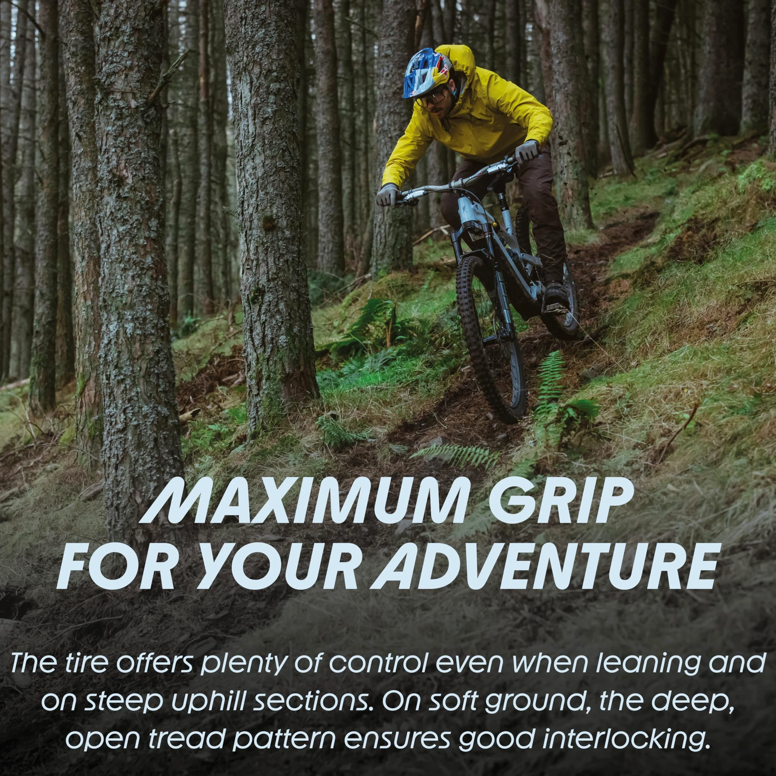 Schwalbe Shredda TLR - Neumático Plegable Trasero