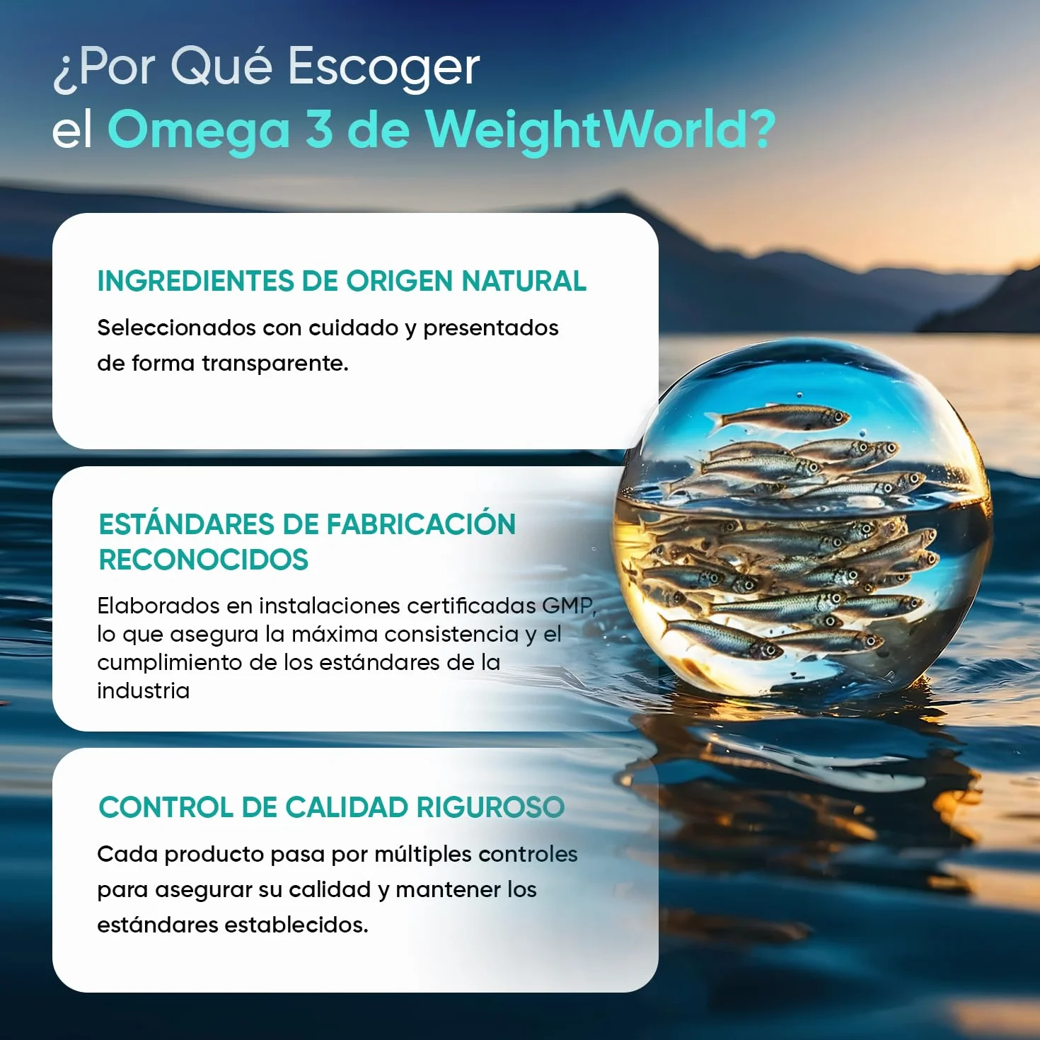 Omega 3 2000mg 240 Perlas de Aceite de Pescado EPA 660mg DHA 440mg Ácidos Grasos Omega 3 Sin OGM