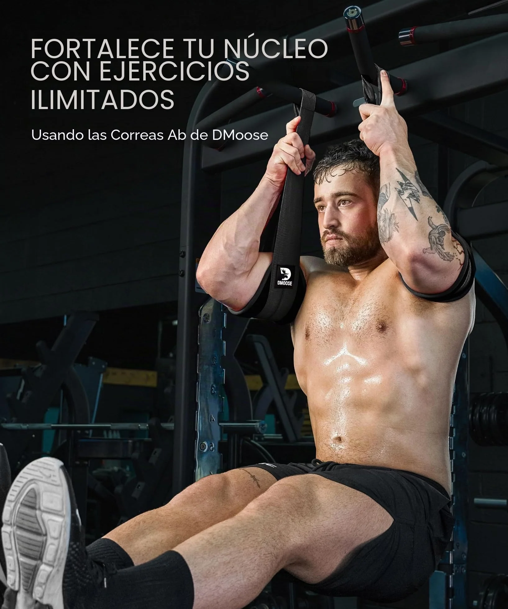 DMoose Fitness Ab Correas - Ejercitador de gimnasia para el hogar Six Pack - Soporte y costuras de doble correa, tejido antidesgarro, relleno de brazo más largo y grueso - Equipo de entrenamiento de Grado superior para hombres y mujeres