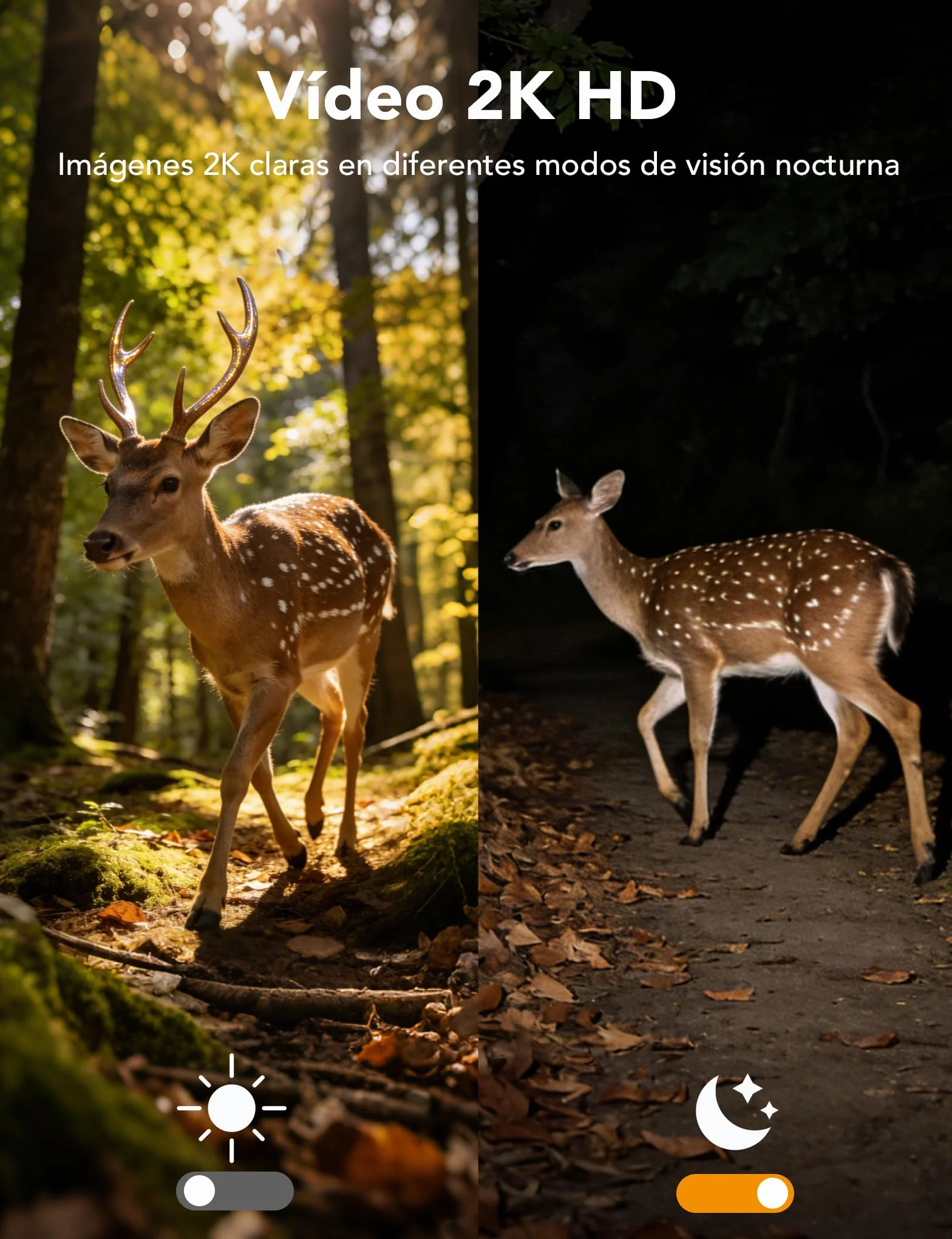 GNCC 4G LTE Camara Fototrampeo de Caza 360°PTZ, 2K Cámara Vigilancia Solar con Tarjeta SIM, Visión Nocturna en Color/Infrarrojos, Audio Bidireccional, IP65 Impermeable, para Caza y Monitoreo Remoto