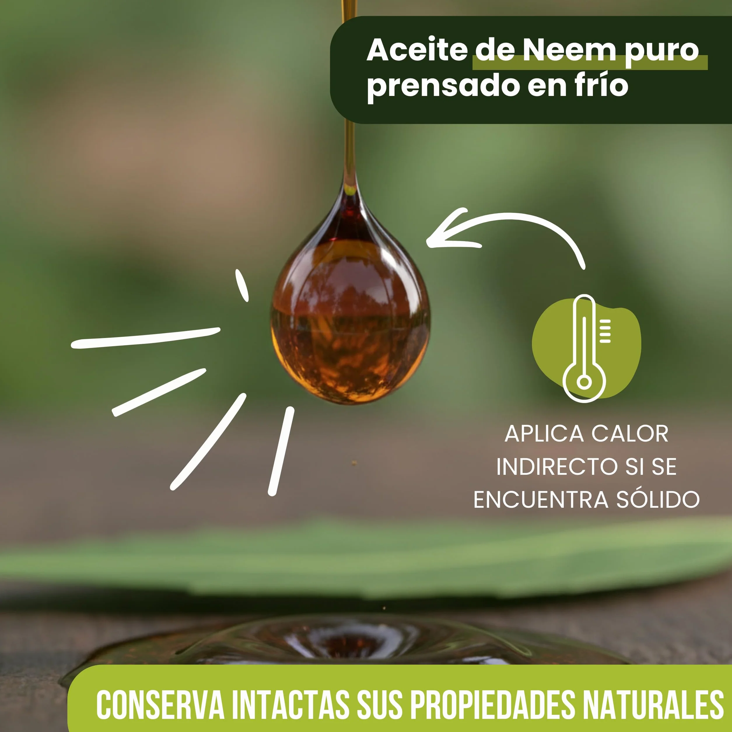 Aceite de Neem Puro 1 Litro - 1ª Presión en Frío, 100% Natural