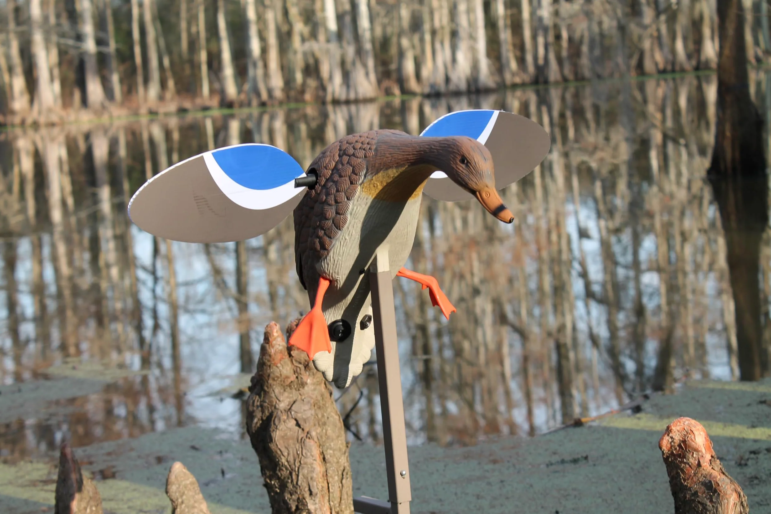 Mojo Outdoors Hw2471-2 Elite Series Mini Mallard Hen-Señuelo de Caza de Patos, Unisex, Gallina