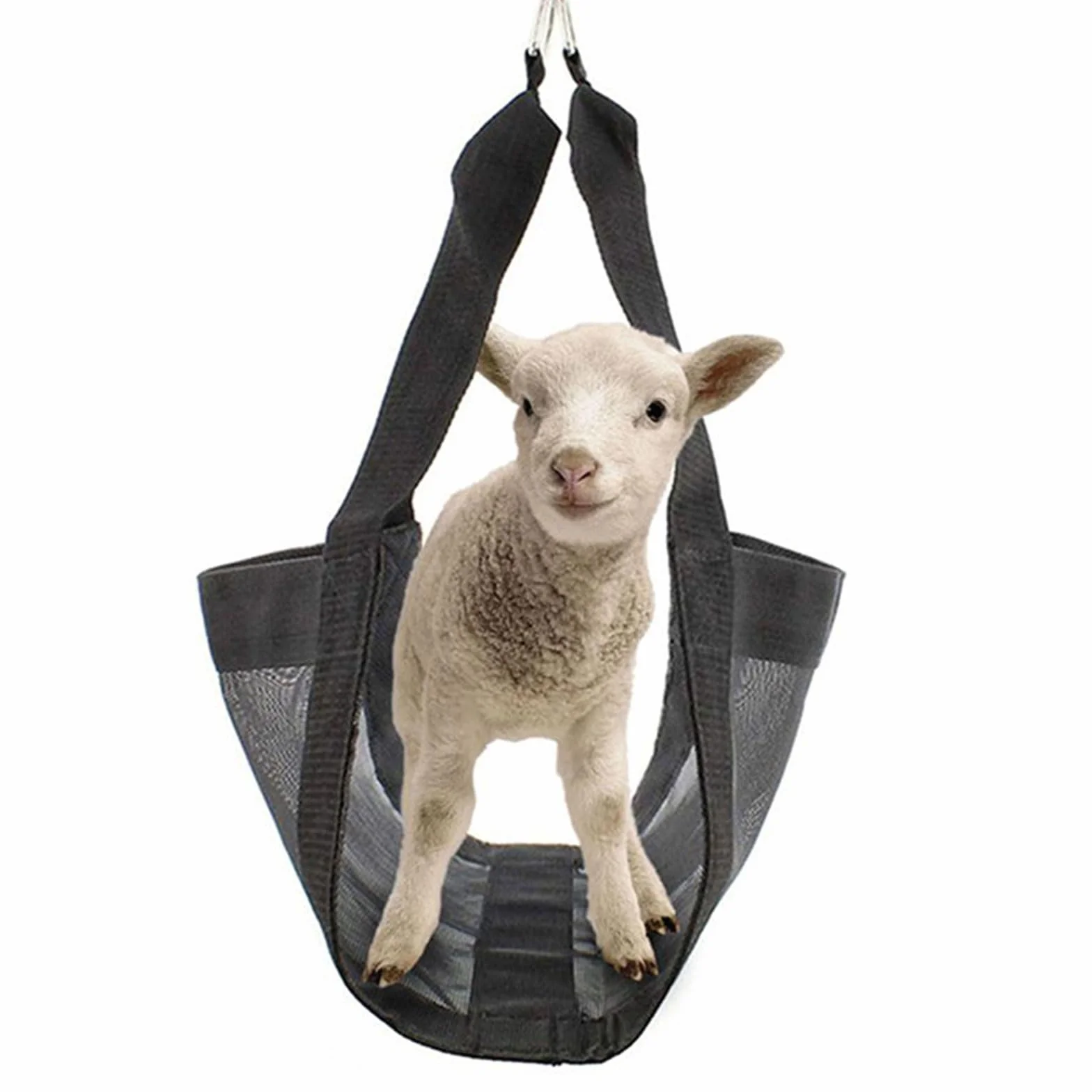Báscula de ternera para pesar animales, colgante, cómoda para terneros, cerdos, cabras, bebés