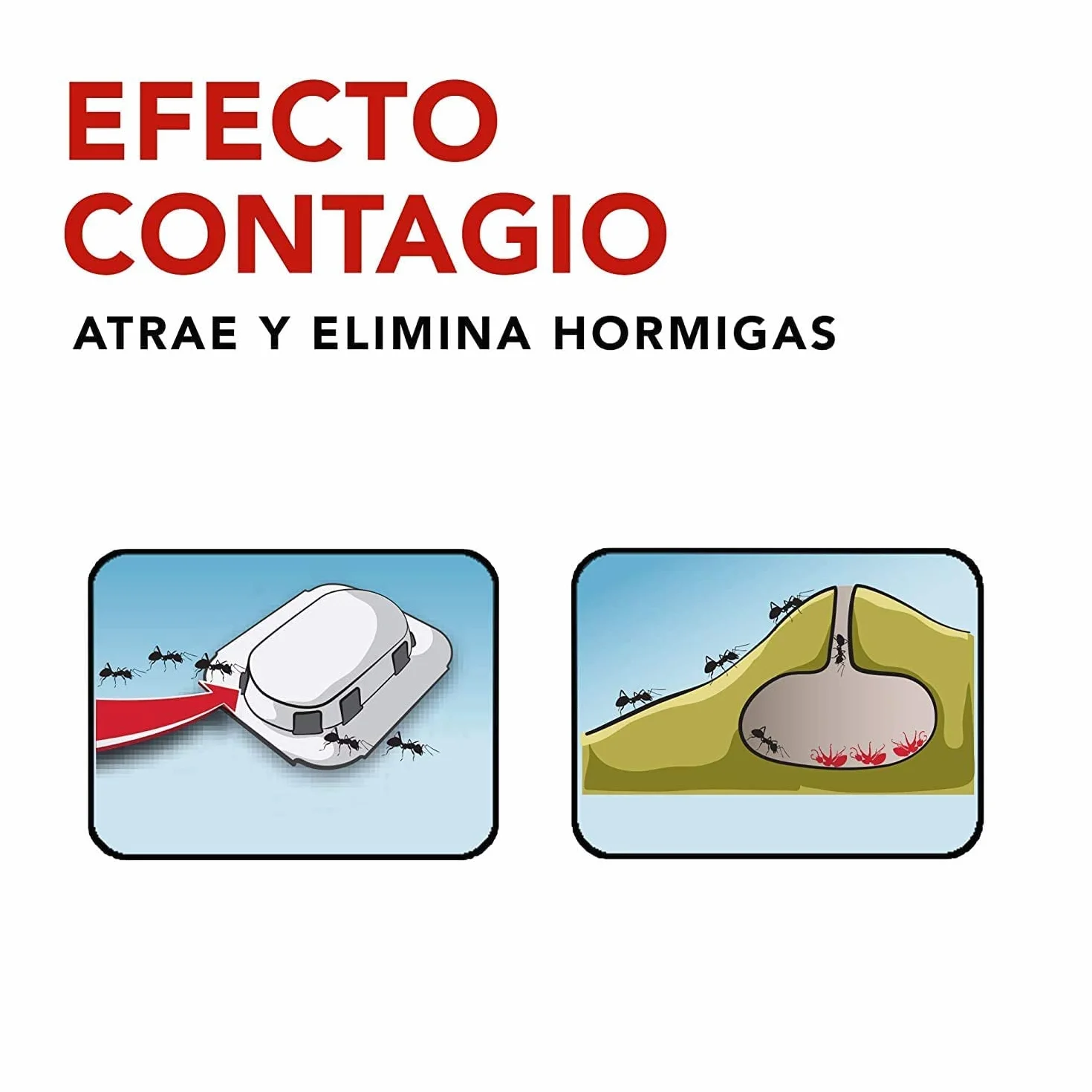 Raid Cebos Trampa antihormigas Elimina Colonia Entera Interiores Exteriores 1 Unidad