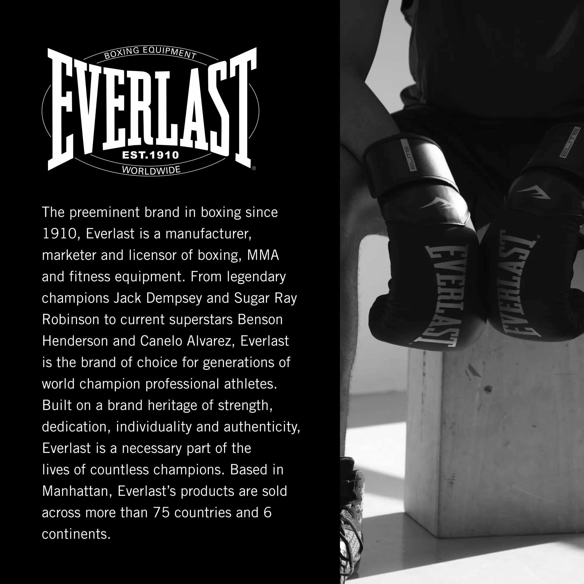 Everlast Pro Style 2 Guantes de boxeo para adultos