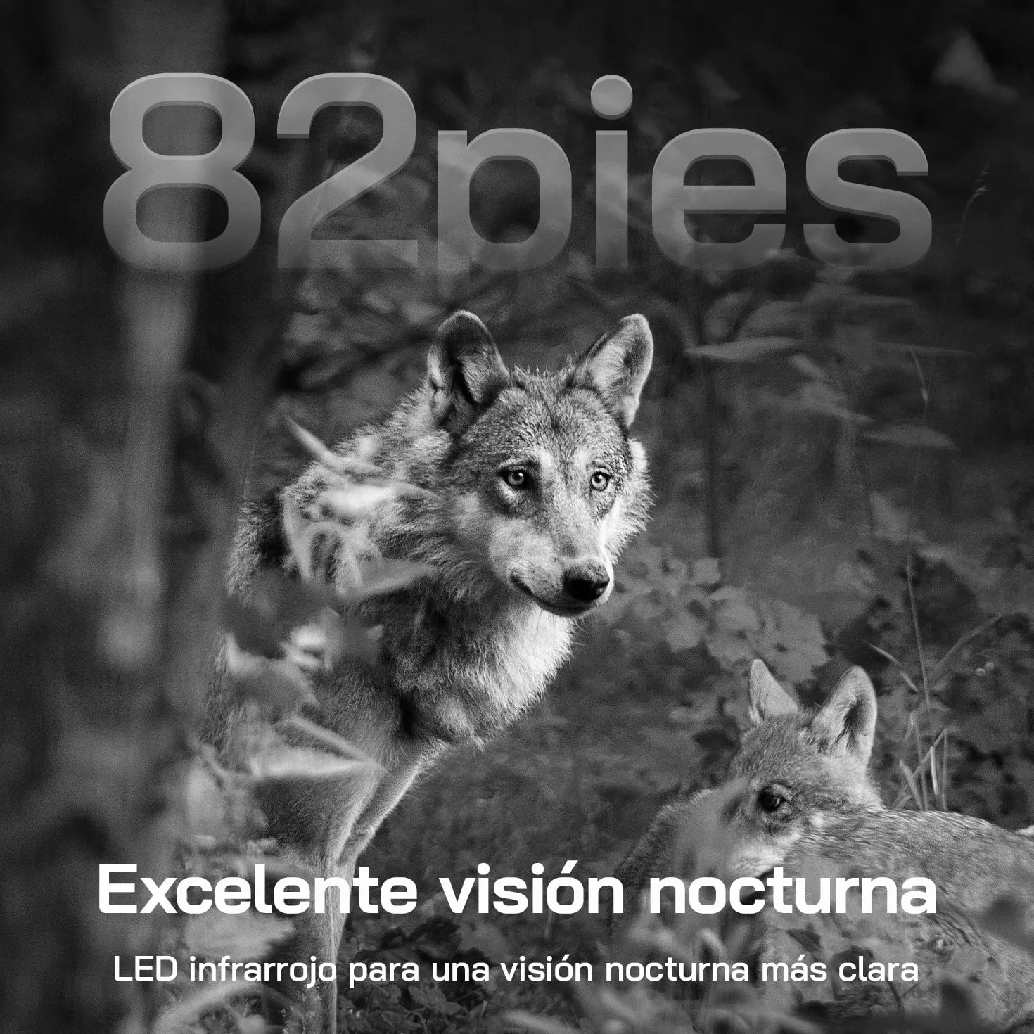 WOLFANG Cámara de Caza Solar, 4G LTE Camara Fototrampeo 2.5K con Detección PIR Nocturna por Infrarrojos Invisible, Alerta, Audio Bidireccional, IP66 para Vida Silvestre y Monitoreo de Seguridad
