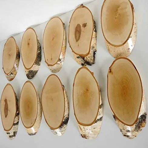 10 carteles de madera de abedul para trofeos con cornamenta, cornamenta, disco de árbol, cartel de madera natural, moderno con compartimento de pino