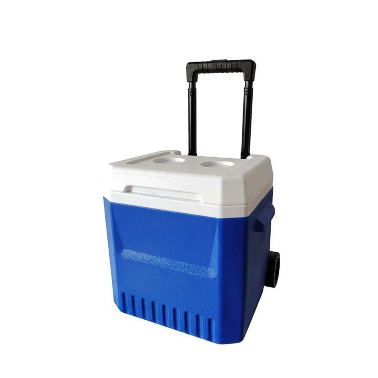 B Baosity Portátil con Aislamiento Caja Refrigeradora Móvil Hielera con Ruedas Contenedor Térmico Diseño Compacto Fácil de Trasladar Adecuado para Puestos Ambulantes Camping Picnic Pesca, Azul