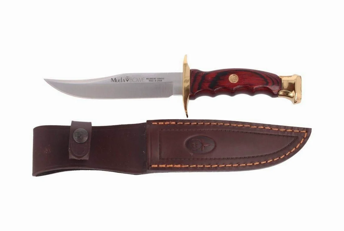 Muela Cuchillo de caza BW-14 con hoja de acero inoxidable ACX-380 de 14 cm y empuñadura de madera de coral para Caza, Pesca, Supervivencia y Bushcraft + Portabotellas de regalo