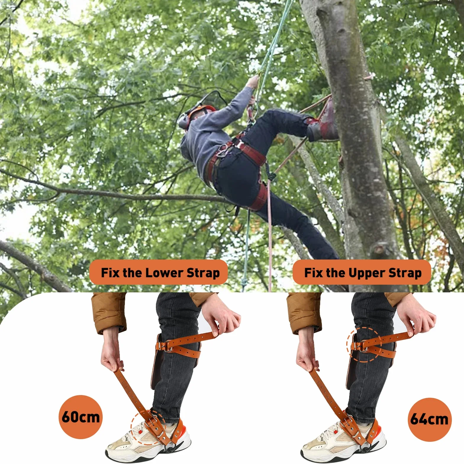 Equipo de escalada de árboles, crampones, altura ajustable y con correa de piel de vacuno, crampones de árbol, artefacto antideslizante para acampar en el bosque, recolección de frutas