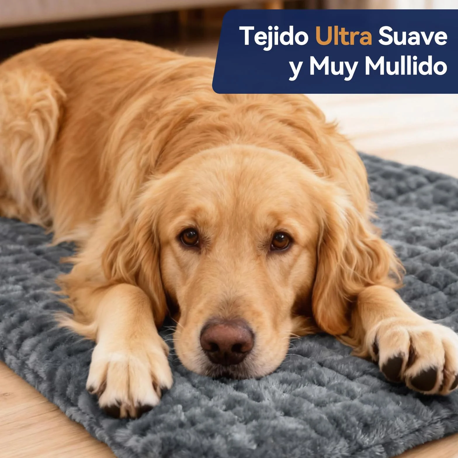 Manta Electrica Lumbar 9 Temperaturas 4 Temporizadores Lavable a Máquina 30x60cm Franela Suave