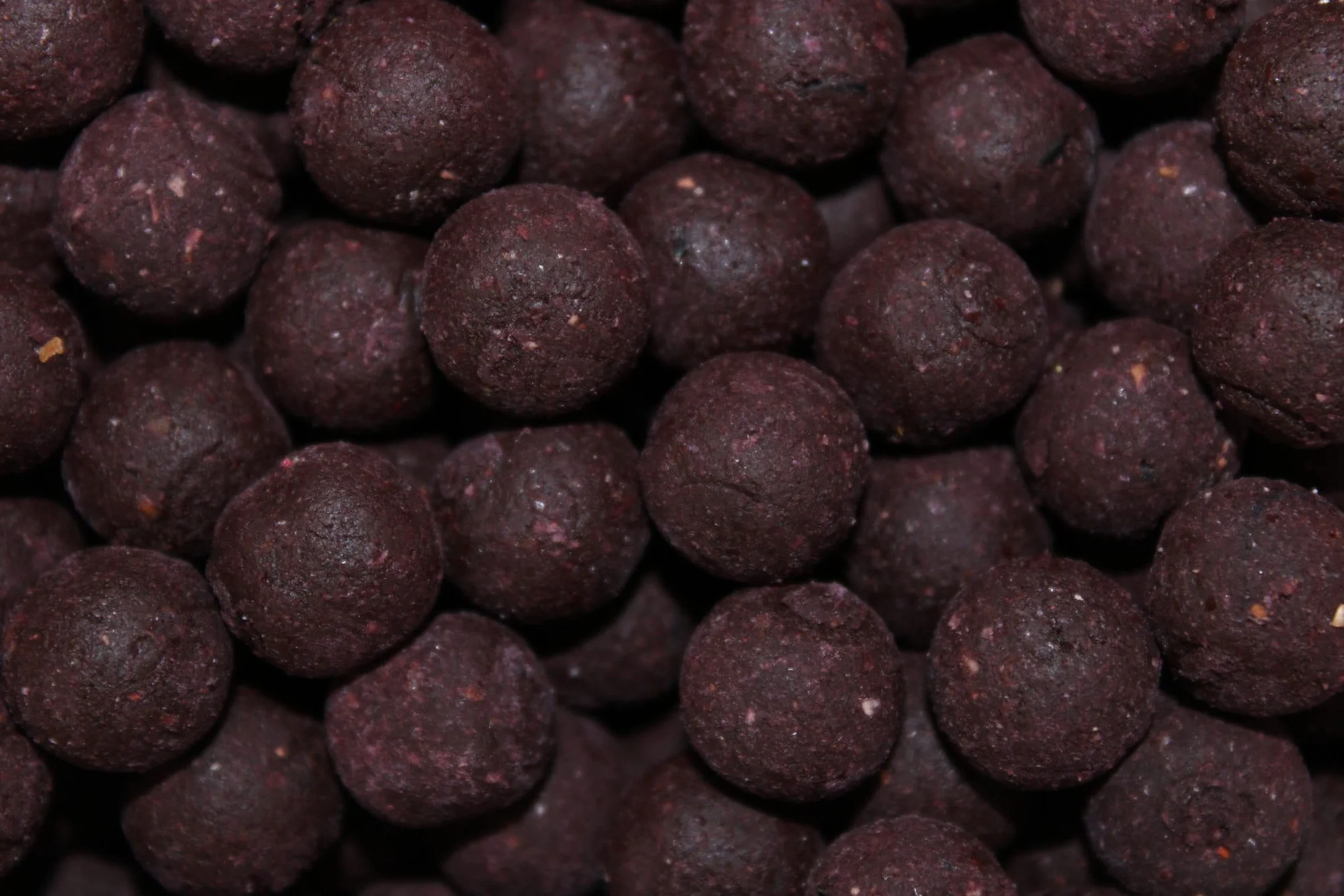 Pro Elite Baits Boilies Squid & Octopus (20mm)