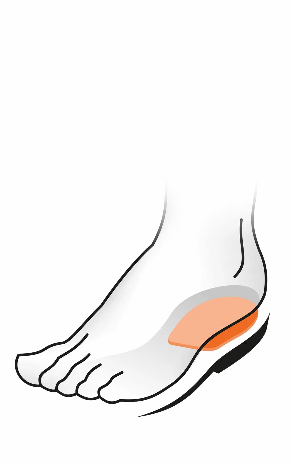 Kaps Elflex Plantillas Zapatos con Amortiguación en el Talón - Copas de Apoyo para el Talón - Piel Tinte Vegetal y Látex Suave - 1 Par (Mujeres/EUR 38-40)